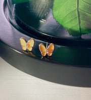 Aretes Butter. Aleación en Plata 925